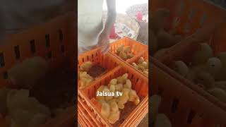 Poultry chicks mounting