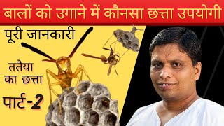 पार्ट -2 तत्तैया का अलसी छत्ता पहचाने जरूर आयेगे नये बाल Bhirad/Tattaiya Ka Chatta Yellow Bee Nest