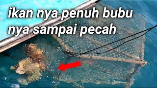 Tarik bubu kawat di karang dasar laut