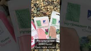 Отзыв о ПЕРЦАХ  | Осмокот Блюм 2-3 месяца | УДОБРЕНИЯ 21 ВЕКА | Нутривант Плюс, Пекацид