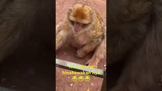 Ano hinahawakan nya ang cute😂😅😂 #trending #viral #cute #shorts #viralvideo #short #shortvideo #fyp