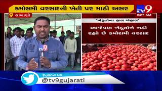 Unseasonal rains badly hit pomegranate production in Lakhni, Banaskantha | TV9