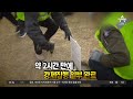 전쟁터 된 국내 최대 골프장…무슨 일이 있었길래 뉴스top 10