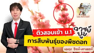 พืชดอก และการสืบพันธุ์ของพืชดอก ติวสอบเข้า ม.1