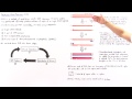 polymerase chain reaction pcr