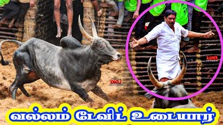 வல்லம் டேவிட் உடையார் மாடு ||என்னப்பா இந்த ஆட்டம் போடுது ||jallikkattu video