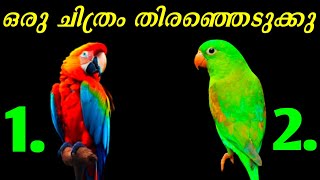 അടുത്ത 48 മണിക്കൂറിൽ നിങ്ങളുടെ ആഗ്രഹം നടക്കുമോ💫