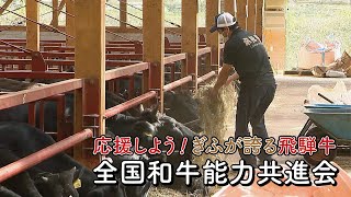 ぎふ県政ほっとライン「応援しよう！ぎふが誇る飛騨牛～全国和牛能力共進会～」