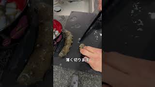 ナマコ捌き方