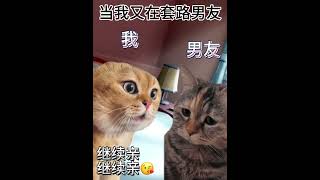 当我又在套路男友~嘿嘿嘿✨|||#情侣话题##情侣搞笑日常话题#猫猫话题# #猫咪对话话题# #猫meme话题##感情话题# #恋爱话题##恋爱日常话题##我和男朋友的日常话题#套路男朋友话题#搬運