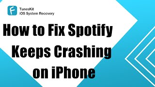 How to Fix Spotify Keeps Crashing on iPhone (iOS 15 Included)