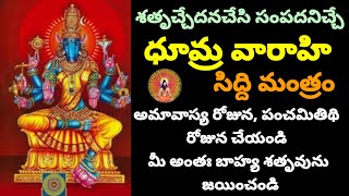 శతృచ్చేదన చేసే ధూమ్రవారాహి సిద్ది మంత్రం Dhumravarahi siddhi mantra to ward off enemies