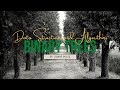 Data Structures & Algorithms - Introduction to Binary Trees