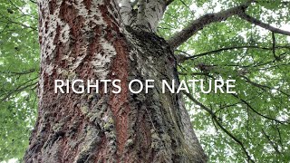 RIGHTS OF NATURE