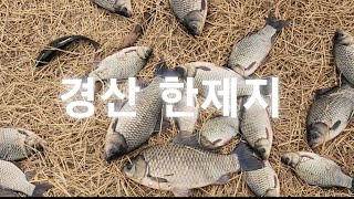 #붕어낚시 경산 한제지 토종터 붕어ㅋ