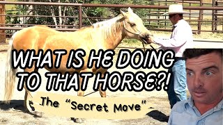 Super secret move.... This move helped win Road To The Horse.