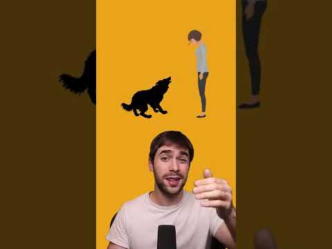 Can a dog kill a human?