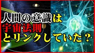 【驚愕の科学】人間の意識は宇宙法則とリンクしていた！「人間の意識はエントロピーの副産物でしかない」？