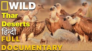 Thar desert rajsthan | Animal planet hindi documentary | discovery channel | nat geo India |