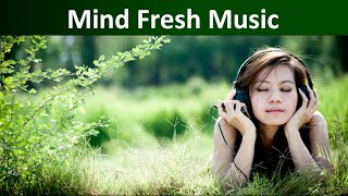 Mind Fresh Music -  🎧 Use headphones, lsland Music, Feel The Music, Mind Relax Music, Memory Focus