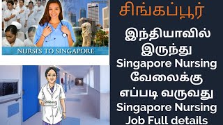 Singapore Nursing Job Full details|இந்தியாவில் இருந்து Singapore Nursing வேலைக்கு எப்படி வருவது|