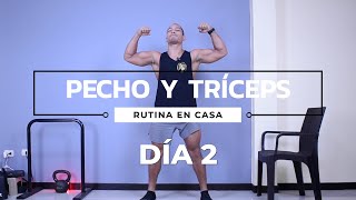 Rutina de Ejercicios Pecho y Tríceps SIN EQUIPO (DÍA 2)