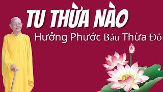 Tu Thừa Nào Nhận Phước Báu Ngang Thừa Đó | Trích đoạn Đại Bát Niết Bàn 44 - HT.Từ Thông