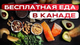 ЕДА БЕСПЛАТНО?! КАК ПОМОГАЕТ КАНАДА?