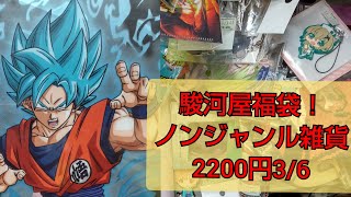 駿河屋福袋！ノンジャンル雑貨2200円3/6