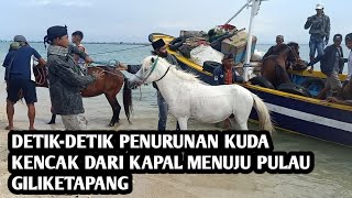 DETIK-DETIK PENURUNAN KUDA KENCAK DARI KAPAL MENUJU PULAU GILIKETAPANG//PROBOLINGGO