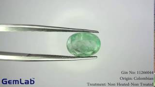 Natural Emerald SP 2.7CT (4.5 Ratti) GIN- 11266044