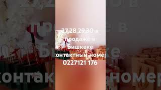 27,28,29,30 в продаже в Бишкекеконтактный номер 0227121 176