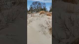 Coastal Dune Stabilization and Management (ENVR 2120)