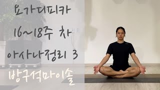 요가디피카 16~18주 차 아사나정리 3 | 비라아사나, 파르스바이카파다 사르반가아사나, 푸르보타나아사나, 싣다아사나