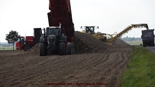 Grimme - Holmer - Fendt / Zuckerrübenernte - Harvesting Sugar Beets