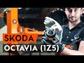 Wie OCTAVIA (1Z5) Bremssattel vorne / Bremszange vorne wechseln [AUTODOC TUTORIAL]