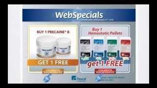 Pascal Web Tools Tutorial (Part 5)