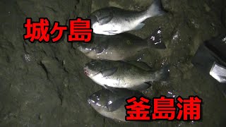 城ヶ島　釜島裏？西の入り？