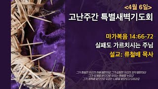 [고난주간 특별새벽기도회(목)] 실패도 가르치시는 주님 | 보배로운교회(23.04.06)