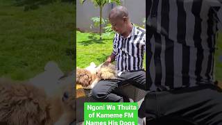 Ngoni Wa Thuita of Kameme FM Names His Dogs After Gathaiya Dennis, Karangu Wa Muraya