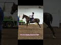 Credits to the idea and sound from @MHR_Equestrian ￼