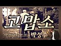 [엘프뮤비]고맙소(조항조)-박성수 색소폰 연주