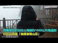 桃園拉拉山下雪了！「雪白美景」曝光　氣象局：太平山今也有機會降雪｜三立新聞網 setn.com