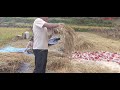 this is primitive technology at mountain village very hard working rural mountain lifestyle