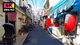 【4K】新小岩 南口の新小岩ルミエール商店街を散歩 (Sep. 2024) | Walk around the shopping street at Shinkoiwa in Tokyo.