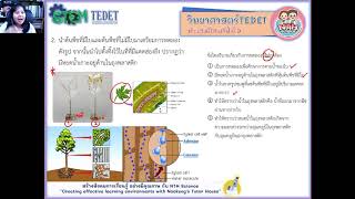 ติวTEDET ป.5