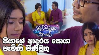 පියාගේ ආදරය සොයා පැමිණි පිණිමුතු | Mal Pipena Kale