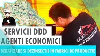 DDD Company Iasi - Servicii DDD - Deratizare si Dezinsectie in fabrici de productie