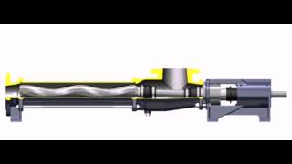 Seepex Progressive Cavity Pumps - NS Standard Animation