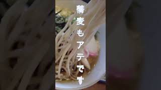 「続おそばに  冷やしたぬき」山形県山形市 4K　#蕎麦 #山形  #soba